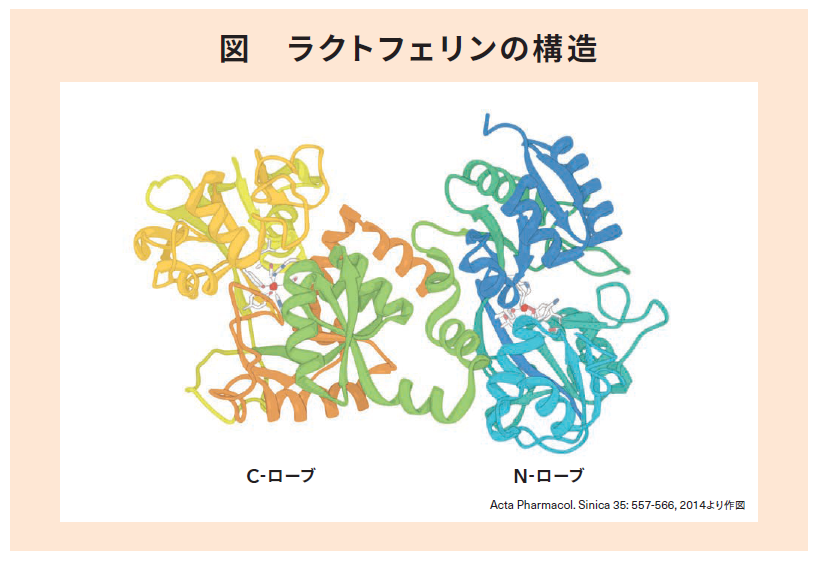 C.P.A. | 乳科学 マルド博士のミルク語り