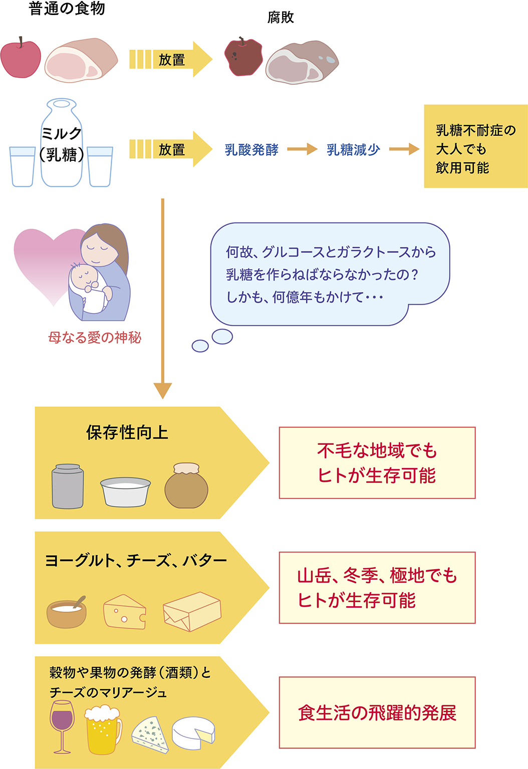 C.P.A. | 乳科学 マルド博士のミルク語り