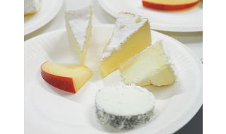 【開催中止】6/21（日）大阪　タイプ別、チーズ食べ比べセミナー「食べて知る！チーズの種類と特徴」