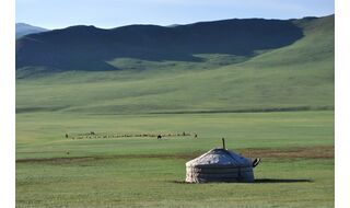 モンゴル草原昼寝旅