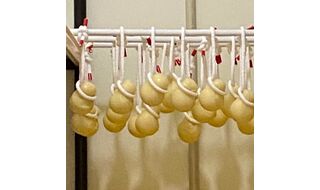 生産者に聞く、製法の特徴と品質評価 全８回