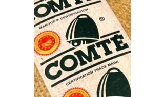 2025年度コンテ ベスト５プロモーター発表！