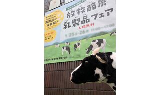 2026年1月「放牧酪農乳製品フェア」開催決定！