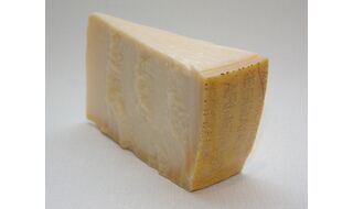 【緊急開催】2026.3.15 東京 パルミジャーノ・レッジャーノ 体験型教育セミナー