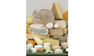 5.31 東京 受賞チーズ&times;COEDOビール  ペアリング実践会