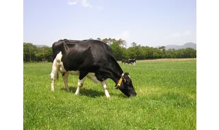 7.4【オンライン】放牧酪農の特徴と魅力を知ろう！