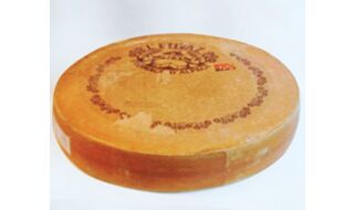 10.14 東京 【夜の部】SWISS CHEESE SURPRISE！